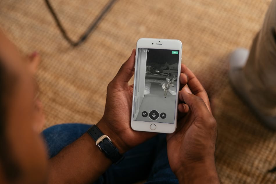 Hillsboro IL security system